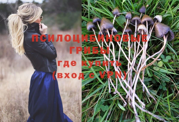 каннабис Новозыбков