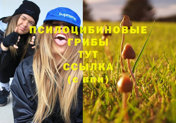 первитин Новокубанск