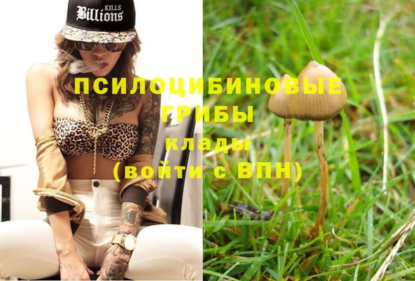 первитин Новокубанск