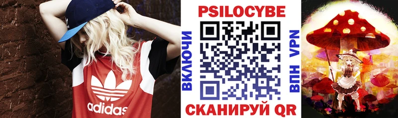 МЕГА как зайти  где найти наркотики  Владикавказ  Псилоцибиновые грибы GOLDEN TEACHER 