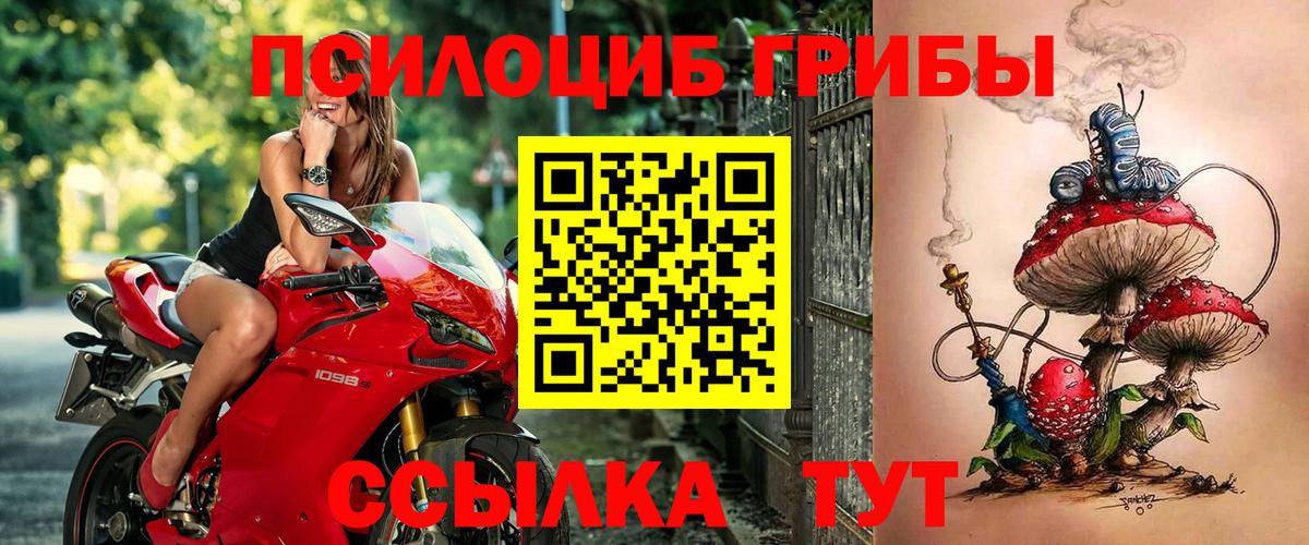 Галлюциногенные грибы Cubensis Владикавказ