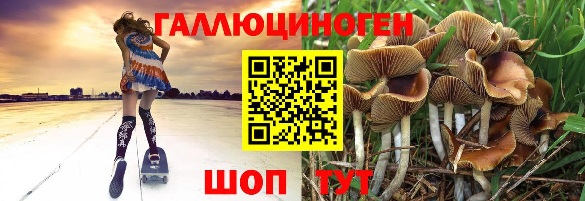 Экстази  Владикавказ  Каннабис  Мефедрон  Мефедрон кристаллы  Гашиш  Вход с VPN 