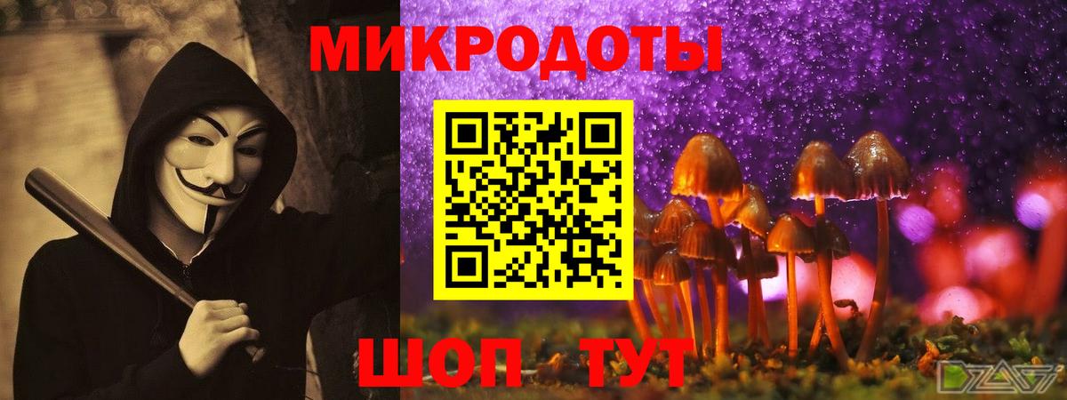 Владикавказ  что такое   Вход с VPN  Галлюциногенные грибы мухоморы 